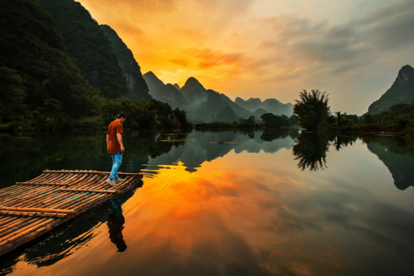 Curated Journey